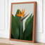 Bird of Paradise Bloom Botanical - Wrapped Canvas-166246950-166246954