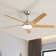 Mitali 52" 5-ABS-Blade Modern Propeller Ceiling Fan With Light and Remote Control