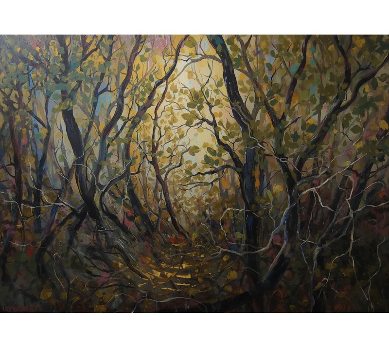 Sylvan Light Print