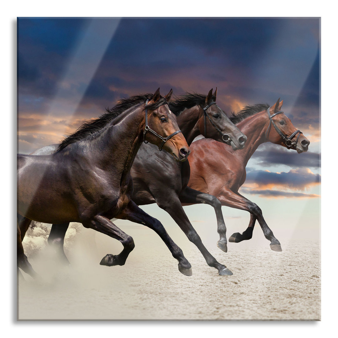 Ungerahmtes Foto auf Glas "Three Wild Western Horses"