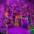 Purple/Orange