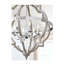 Lustre Reedsville
