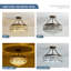 Hamblin Chandelier-1064497419