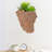 Louison Statue Planter