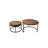 Ensemble de tables basses 2 pièces Ander
