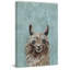 Llama Model - Wrapped Canvas Painting-34927211