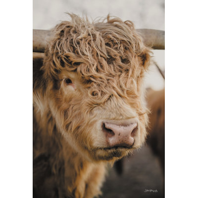 «Handsome Bull» par Dakota Diener
