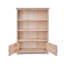 Janesville 119cm H x 85cm W Standard Bookcase