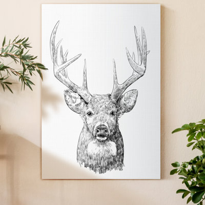 " Young Buck Sketch II " Painting Print