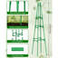 165cm H x 30cm W Metal Trellis