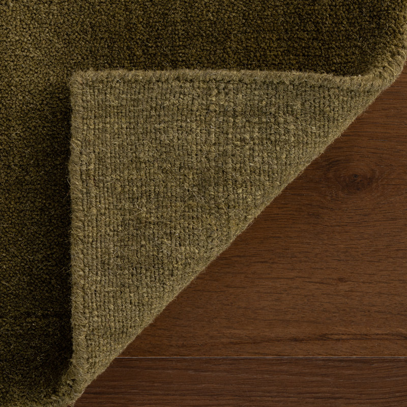 Gania Modern Green Rug, Rectangle 4' x 6'