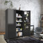 Armoire de rangement verrouillable noire en acier robuste robuste avec portes et 4 tablettes réglables pour la maison et le bureau