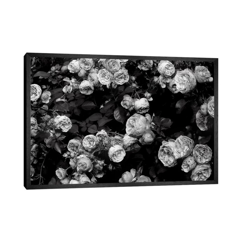 Roses by Sisi & Seb - Gallery-Wrapped Canvas Giclée on Canvas, 66.04 cm H x 45.72 cm W, Black Framed