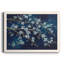 Bluebird conférence - peinture sur toile encadrée-1303234109-1303234098