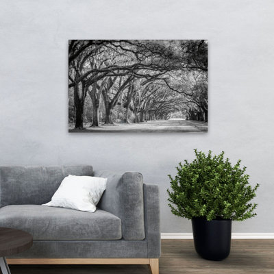 Contemporain et traditionnel Savannah Lane