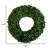 Ophelia & Co. 16.5-Inch Round Artificial Boxwood Spring, Summer, Winter, or Fall Wreaths - Outdoor/Indoor Decoration for Front Door