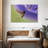 Brampt Nectar Sipping Hummingbird-107719409