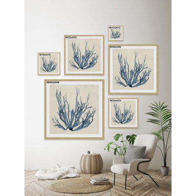 " Coastal Seaweed I "