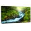 " Blue Creek In Green Rain Forest "-19409902