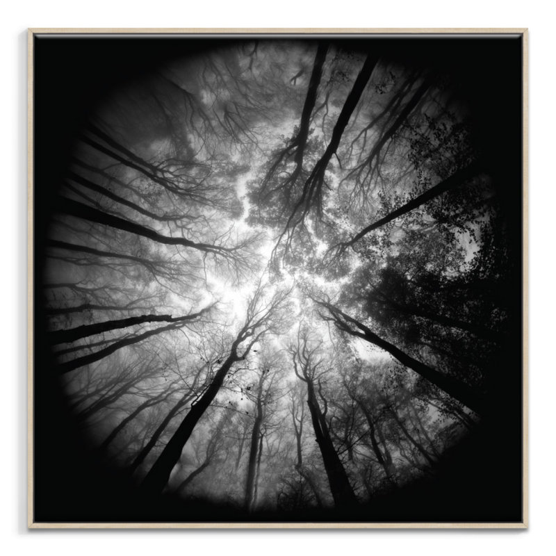 Print on Canvas, Timber, 102cm H x 102cm W