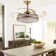 Reinu 38'' Ceiling Fan with LED Lights