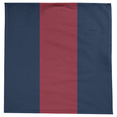 Denver Basketball Tablecloth