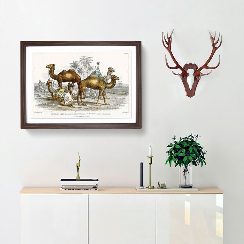 Camels by Oliver Goldsmith - Picture Frame Painting Print, 27cm H x 36cm W x 2cm D, Walnut Framed