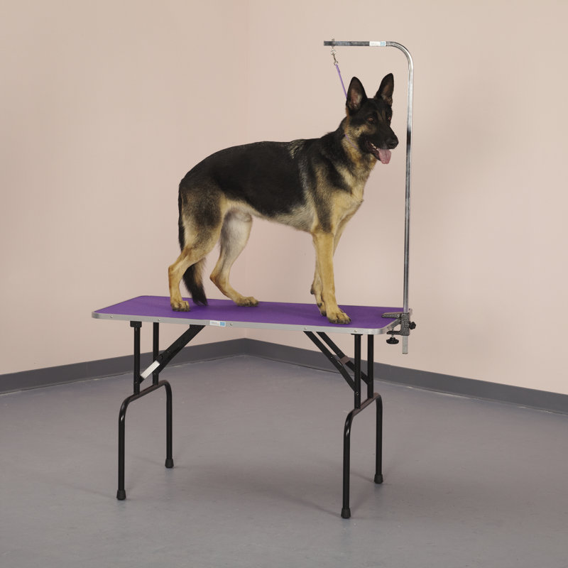 Table de nettoyage, 48" H x 26,8" lx 50,3" D, Mauve