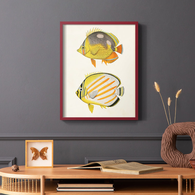 «Yellow & Gray Fish IV», reproduction encadrée - bois massif, Rouge, H 10 po x l 8 po