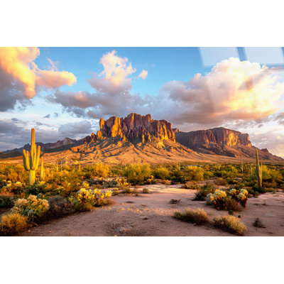 Sonoran Radiance - 40" x 60" - Tempered Glass
