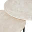 Axtell Marble Nesting Coffee Table