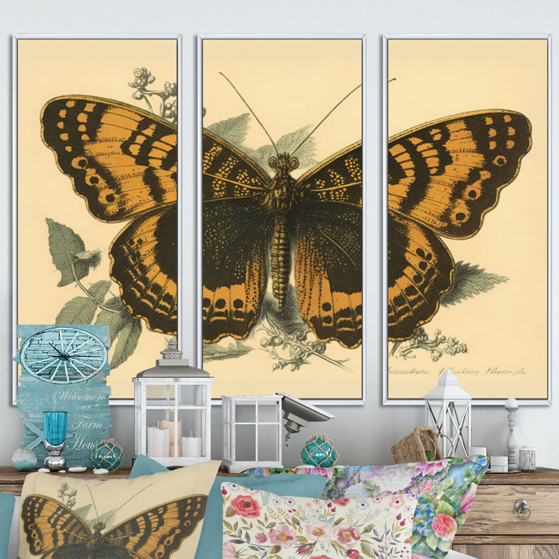 Illustration rétro de papillons I - animaux, ensemble d'art mural sur toile_80512, Toile avec cadre blanc