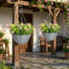 Set of 2 artificial hanging cosmos flowers