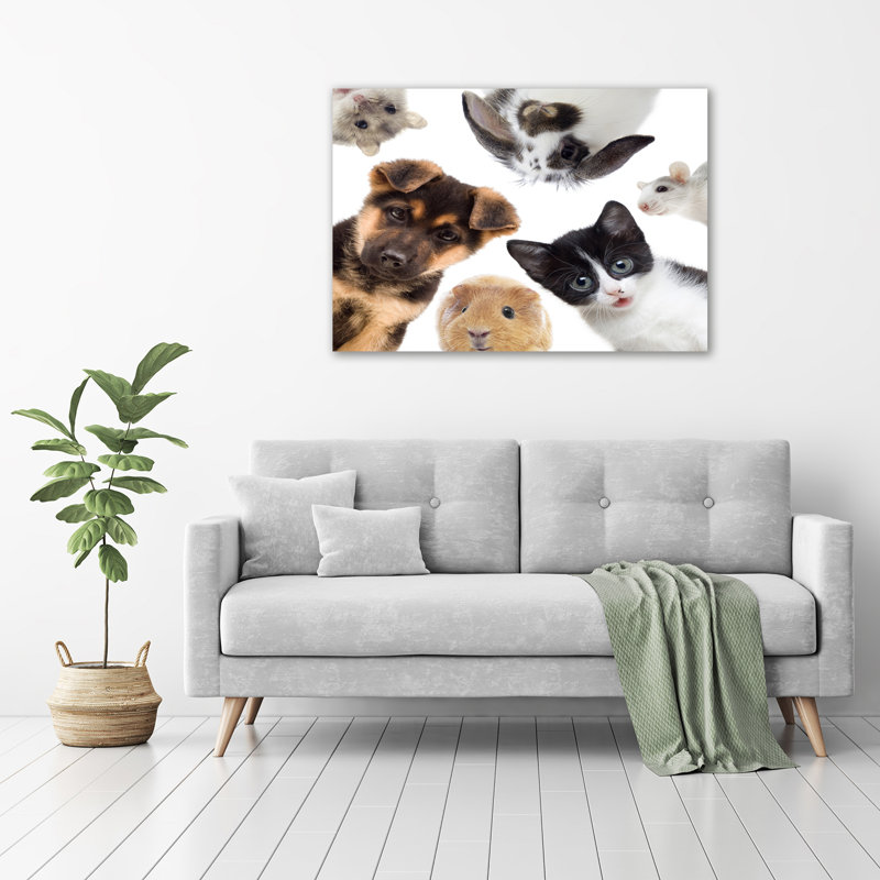 Pets - Wrapped Canvas Print