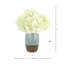 Hydrangeas Arranged in Ceramic Vase-132254124