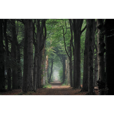 «A Hazy Summer Morning» sur toile