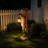 Fox Garden Statue