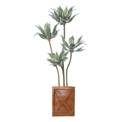 59'' Faux Agave Tree in Pot