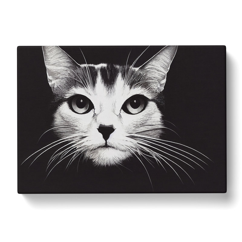 Magical Cat - Wrapped Canvas, 40cm H x 60cm W x 3cm D