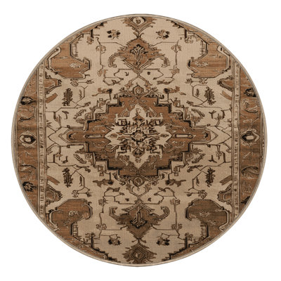 Machine Washable Persian Brown Area Rug