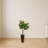 Fiddle Leaf Fig Artificial Tree in Bamboo Planter