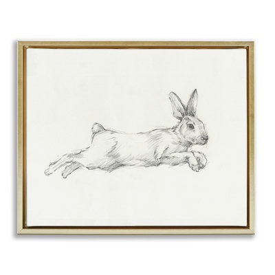 Art mural sur toile flottant, "Saut de lapin" par Ethan Harper