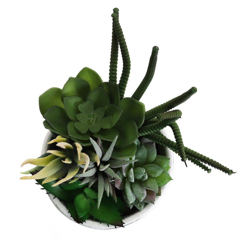 7.75" Artificial Succulent in Planter