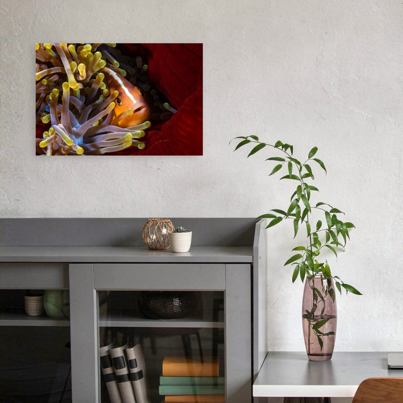 Vibrant Anemonefish Close-Up Colorful Vibrant Fish Nature Ocean Wall Art Print 1 Piece Wrapped Canvas Wall Art