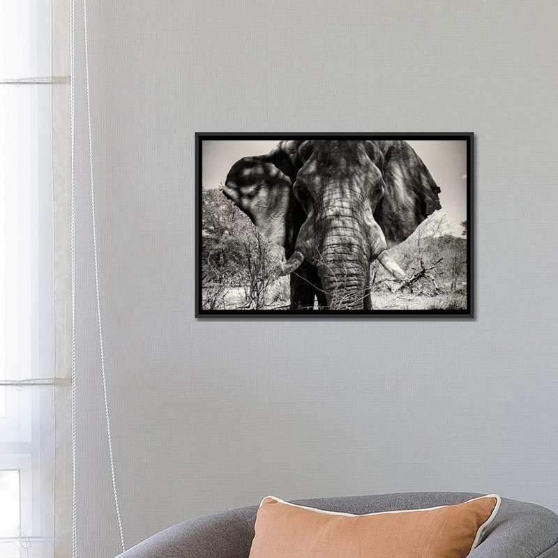 " Elephant Portrait " by Philippe Hugonnard, 40" H x 60" W x 1.5" D, Black Framed Canvas, No Mat