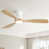 White with Beige Blade 