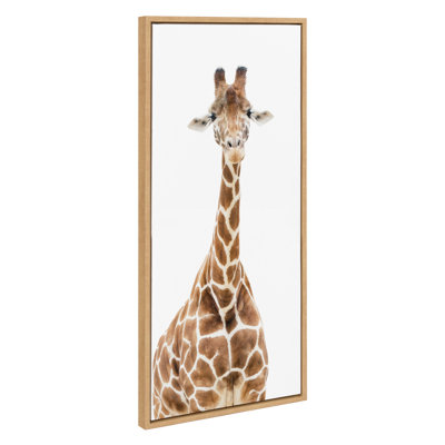 Standing Giraffe by Amy Peterson Framed Canvas Wall Art Print