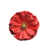 Rose corail brillant sélectionné