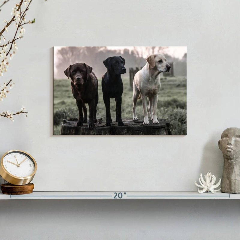 Brampt Labrador Dogs, 8" H x 12" W