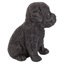 Statue de chiot Labrador Labrador-790654858